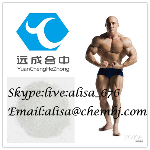 Anabolic Steroid Testosterone Undecanoate CAS 5949-44-0