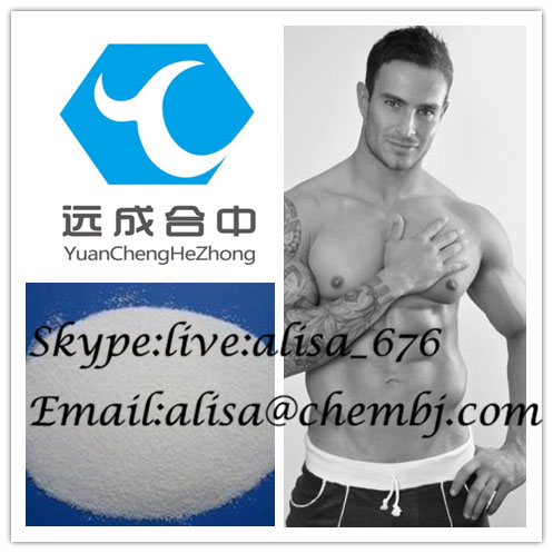 Testosterone Acetate Test A 1045-69-8 Homebrew Steroids UG Labs Powder