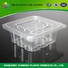 Custom Disposable Plastic Food Containers  Clear Salad Packing