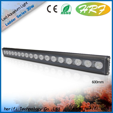 3W Cree chip LED aquarium light fish tank light coral growth light aquarium lights
