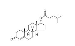 Testosterone Isocaproate 15262-86-9