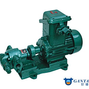 Gear Oil Pump