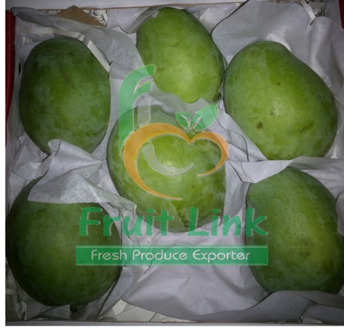 Egyptian mango (sukarya) by fruit link