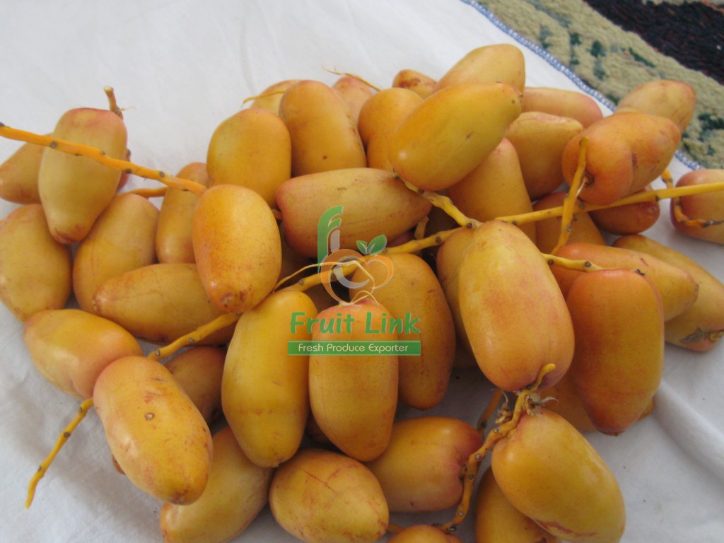 Egyptian fresh samani dates by fruit link