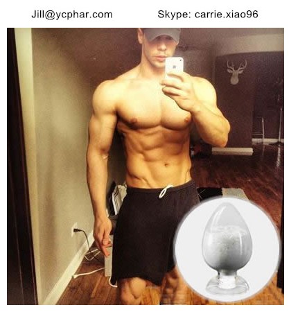 Boldenone base (sam@ycphar.com)