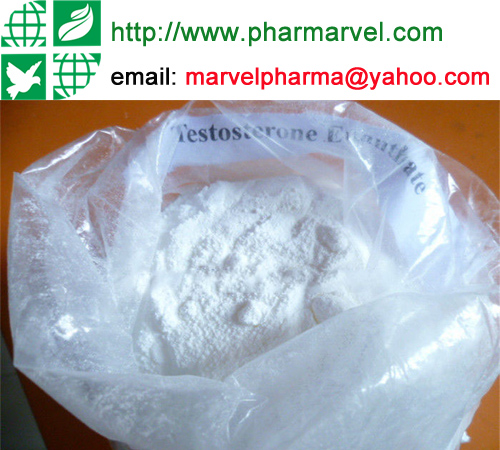 Cutting cycle steroids testosterone enanthate CAS 315-37-7 for muscle gain