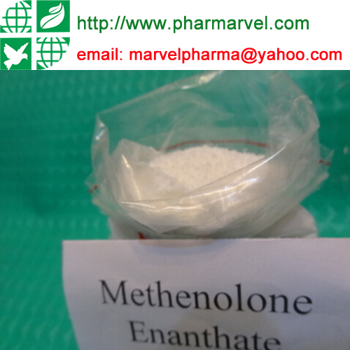 How to get Primobolan methenolone enanthate for between steroid cycles