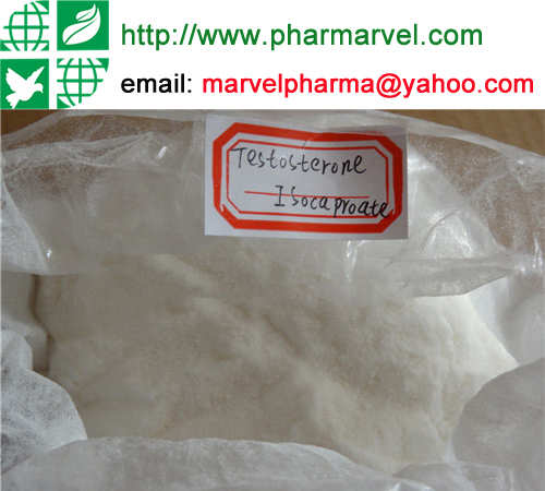 Supply testosterone Isocaproate anabolic steroids in Pharmarvel