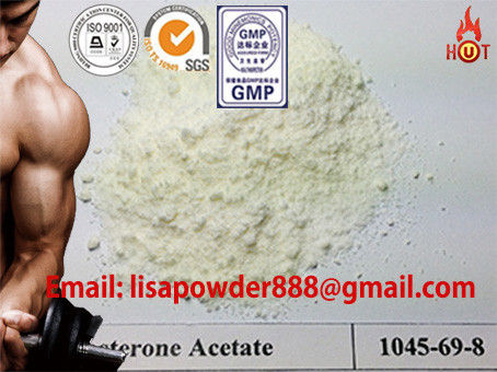 Healthy Primobolan Testosterone Acetate Raw Hormone Powders CAS 1045-69-8