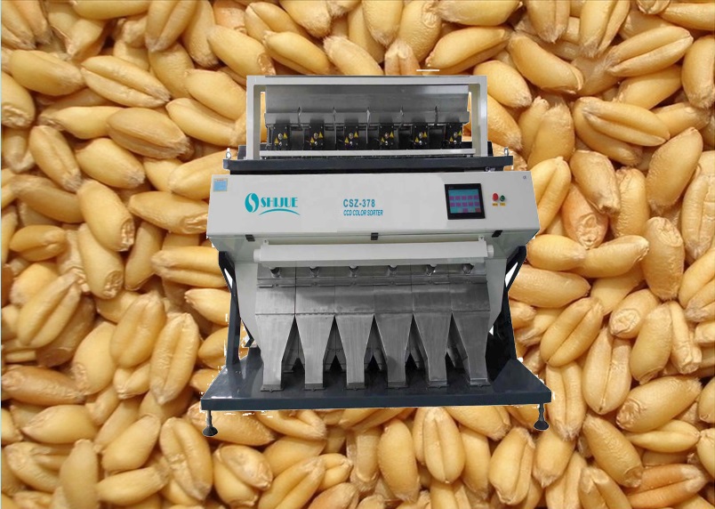Hot-Sale high quality LED CCD wheat color sorter 