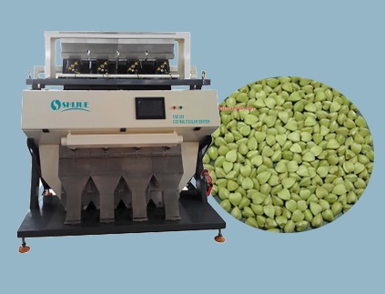 Shijue buckwheat color sorter provide factory price 