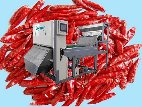 Belt typle color sorter for chili 