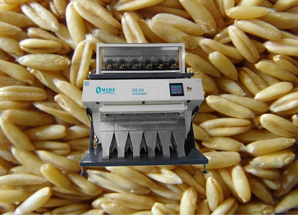 low carryover rate color sorter for oat 