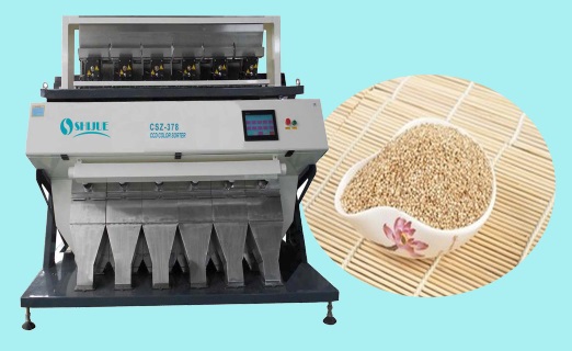 6 chutes millet color sorter machine with factory price 