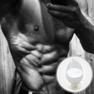 Boldenone undecylenate 97.0~103.0%