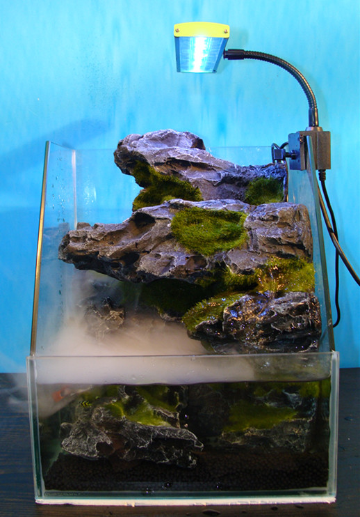mini home decoration aquatic landscaping