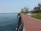 Environmental - Friendly WPC Deck Flooring for Walk Road and Seaside
