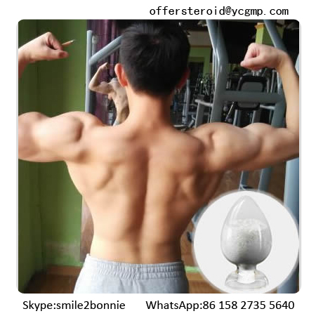 Methenolone Acetate (offersteroid@ycgmp.com)