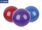 Custom Label Extra Thick 55mm , 65mm Yoga Exercise Ball , Body Fit Stability Ball