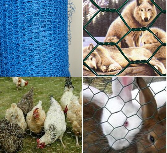chicken wire mesh/hexagonal wire mesh