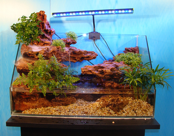 aquarium background landscaping terrarium landscaping