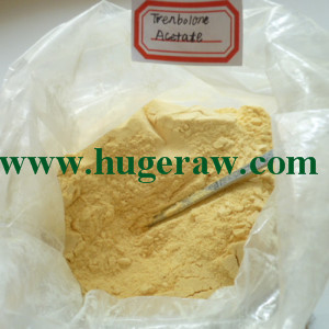 steroid powder 99.7%purity high quality Trenbolone Hexahydrobenzyl Carbonate