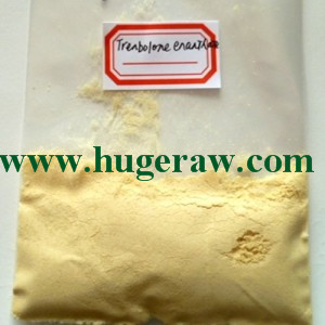 Trenbolone Enanthate high quality Building Muscle Burning Fat Gaining Strength