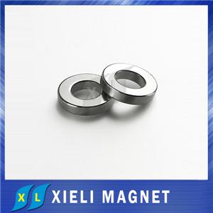 Neodymium Ring Magnet