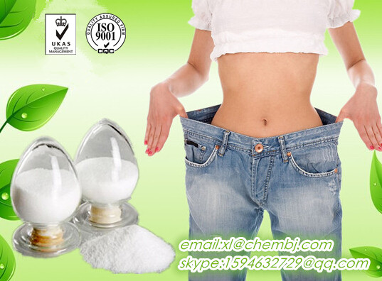 99% High Quality Pharma.Powder Metformin HCl Metformin Hydrochloride(CAS NO.:1115-70-4)