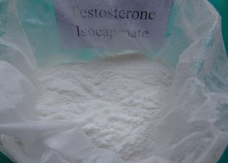 Muscle Building Raw Steroid Powder Testosterone Isocaproate (landmarkchem.leslee@gmail.com)     