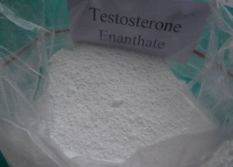 99% High Purity Bodybuilding Steroid Powder Testosterone Enanthate (landmarkchem.leslee@gmail.com)                                   