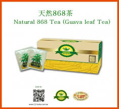 Natural 868 Tea (Guava Leaf Tea) / Meal-Replacement Biscuit