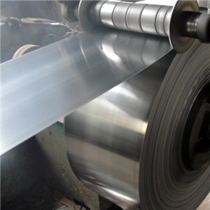 Stainless Steel Strip