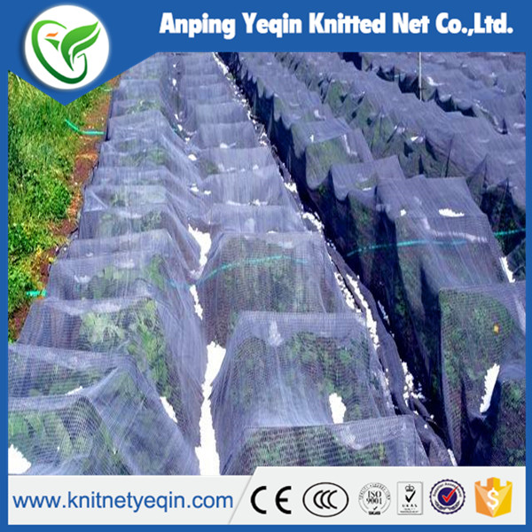 sunshade net for the vegetable garden 