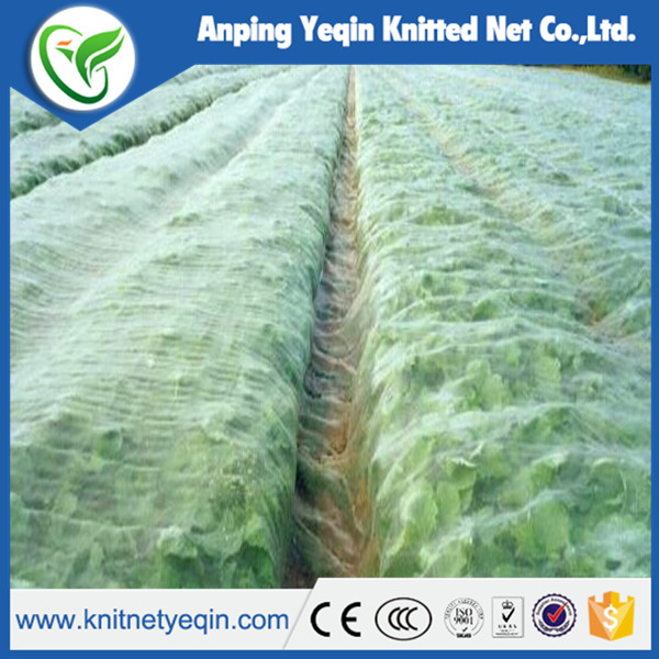 New HDPE anti insect net 