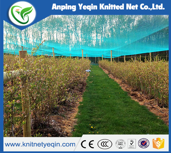 commercial plastic knotted mesh anti bird net 