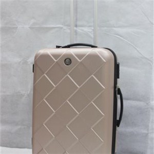 Hard Abs Trolley Case