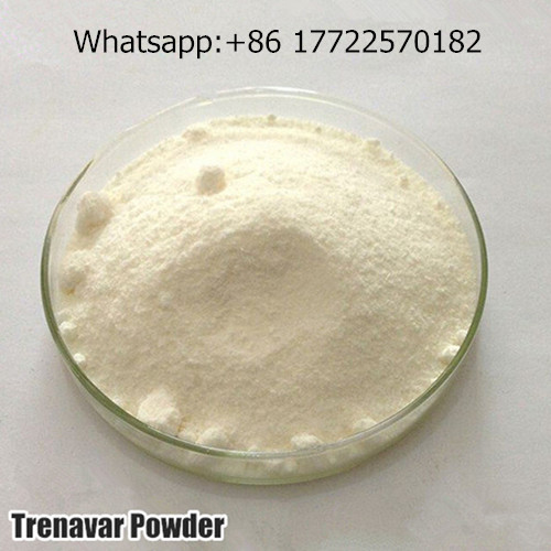 Trenavar Skype: Highroids