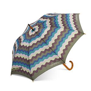 Straight Raines Wooden Handle Umbrella