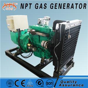 20KW25KVA Biogas Generator