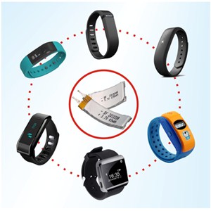 Smart Watch Battery