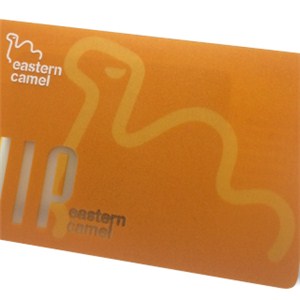 T5577 Smart Card