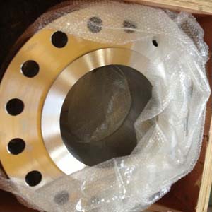 A182 F316L Weld Neck Flanges