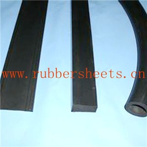 Molded Viton(FKM） Rubber Cord