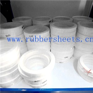 PTFE Gaskets