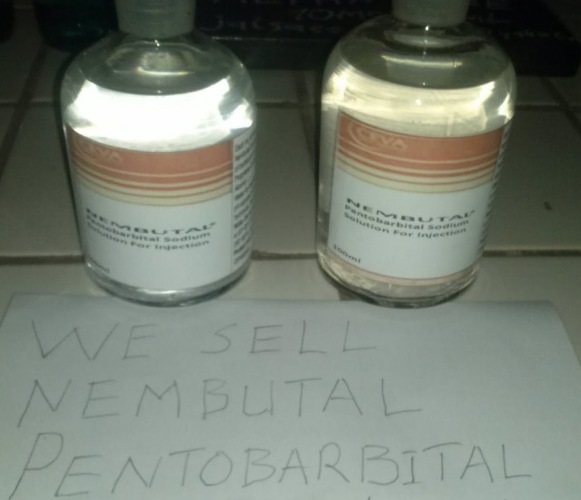 Nembutal, Alprazolam, Opana, Norco, Fentanyl,Hydromorphone, Adderall