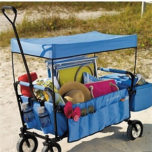 Folding Wagon With Canopy