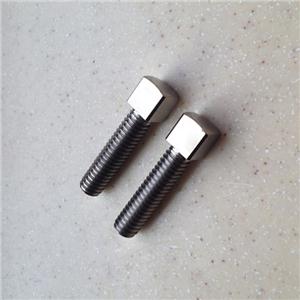 Titanium Square Head Bolts