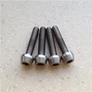 Titanium Taper Head Screws