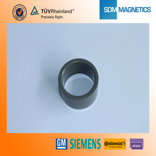 ISO/TS 16949 Certificated Bonded NdFeB Magnet